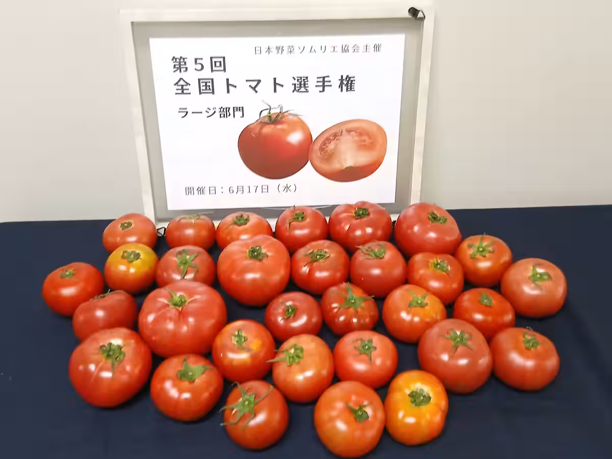 画像1