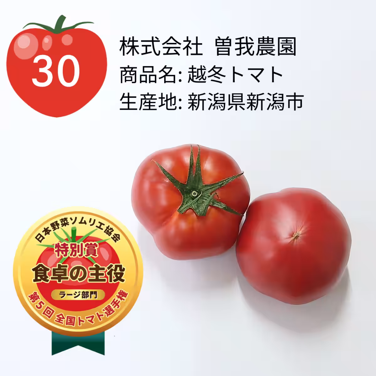 画像14