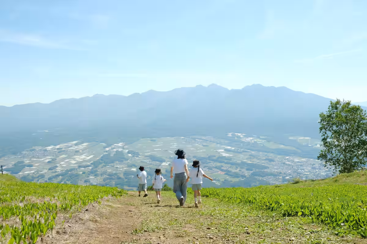 画像12
