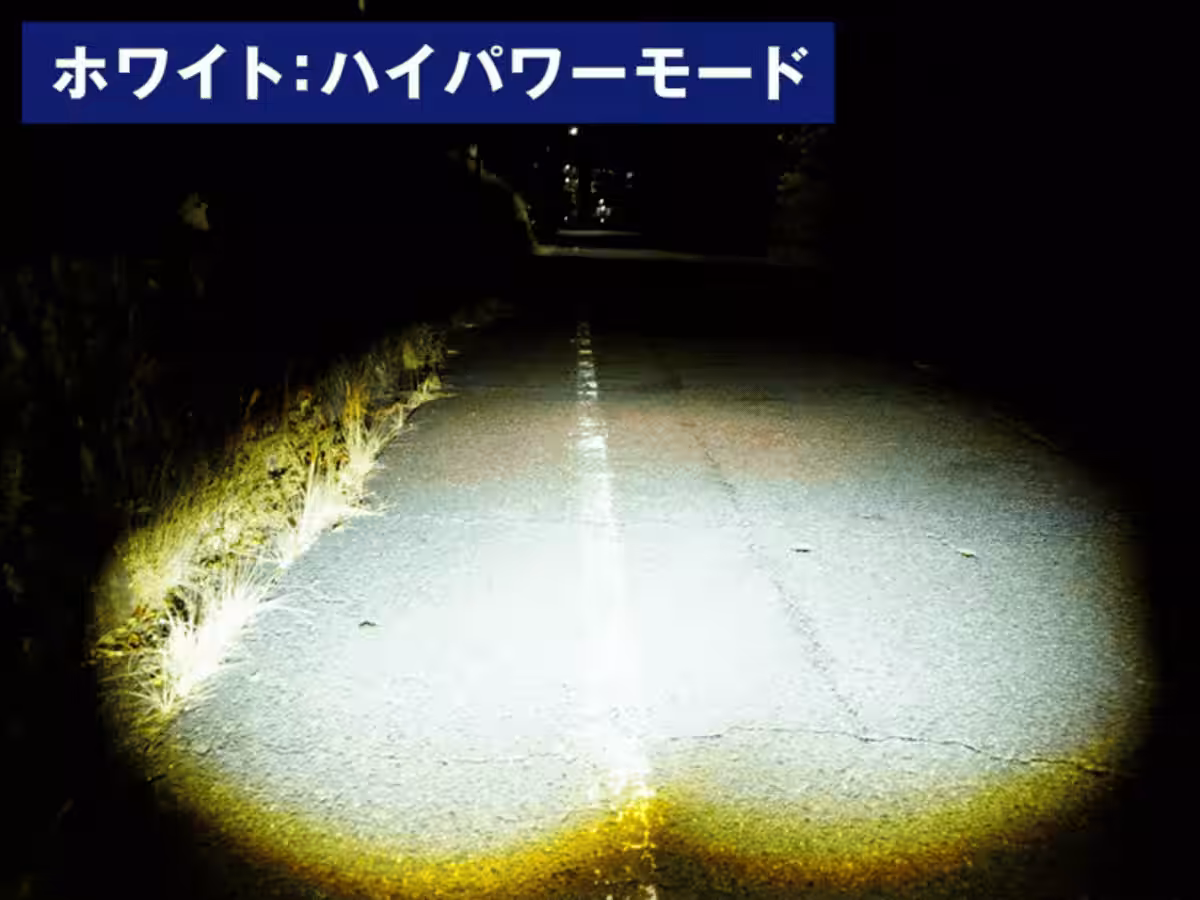 画像7