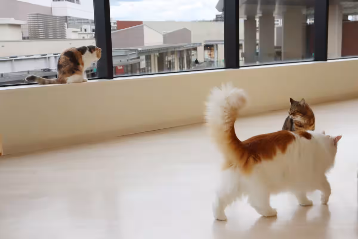 画像13