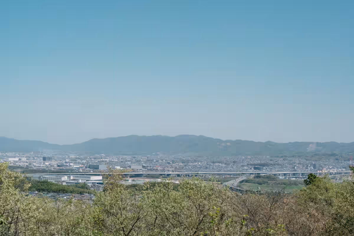 画像9