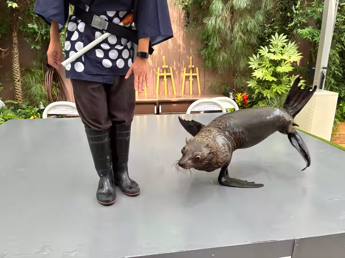 画像15
