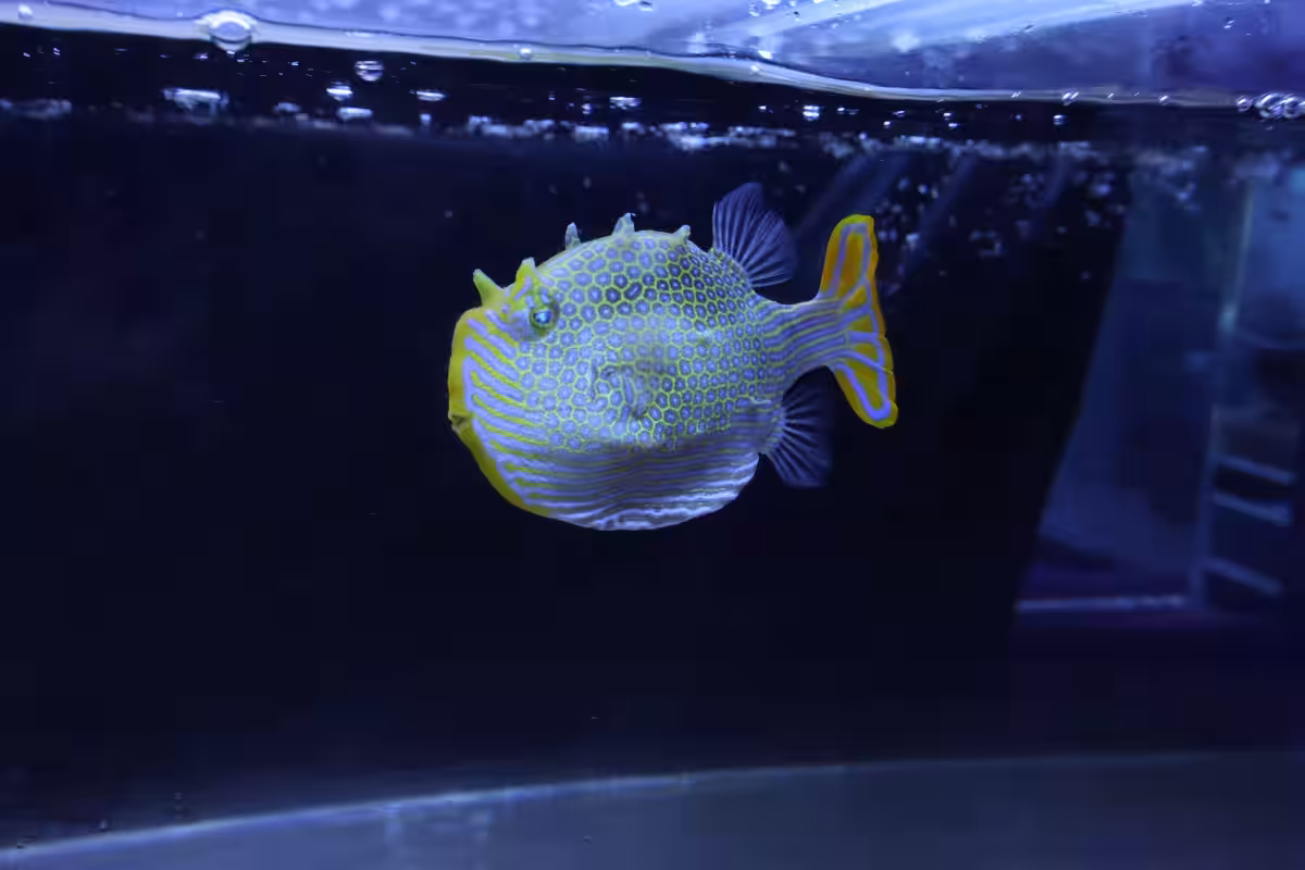 画像24