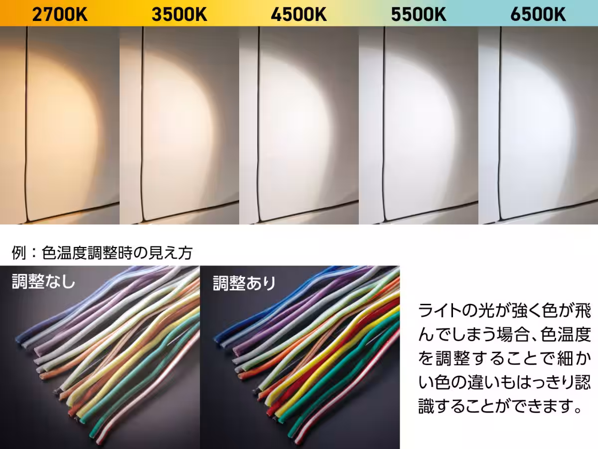 画像9