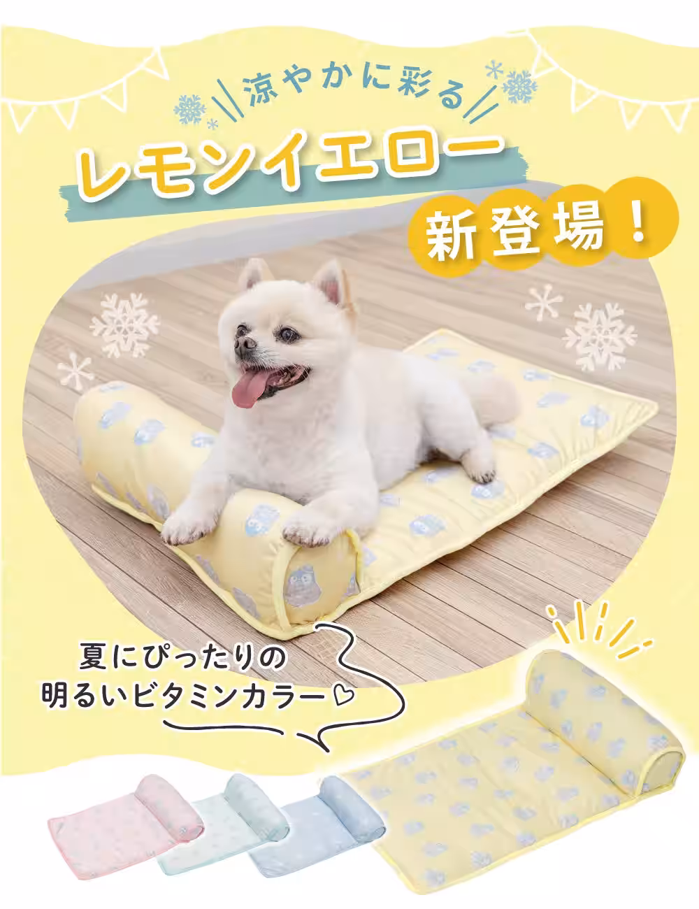 画像6