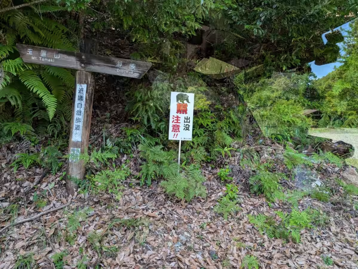 画像7