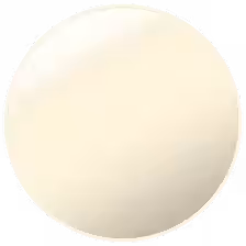 画像23