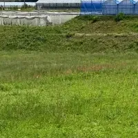 農業法人誘致計画