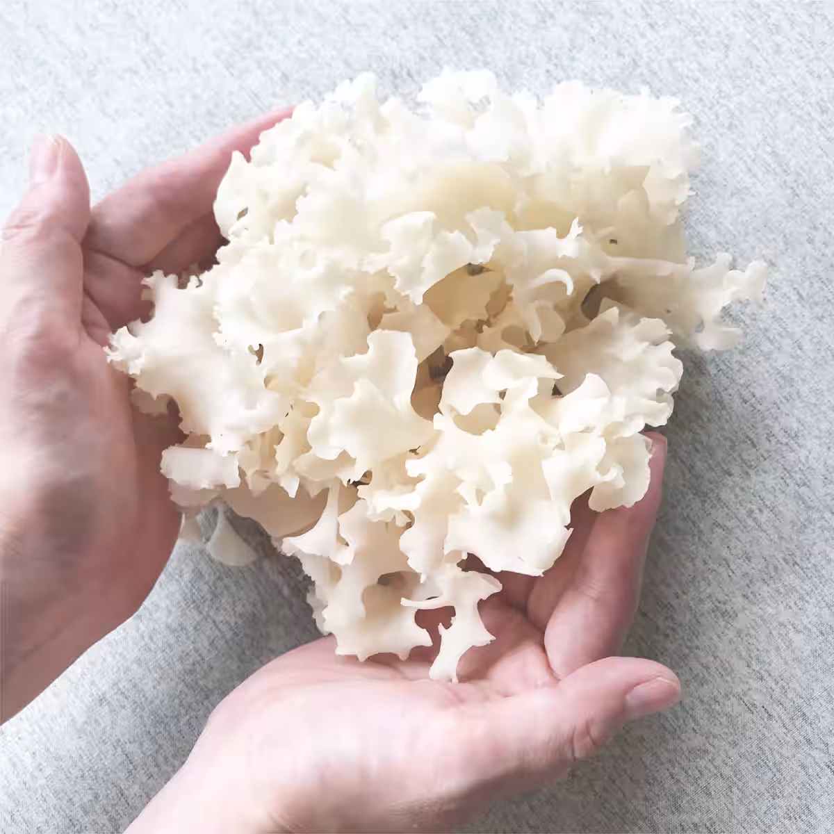 画像10