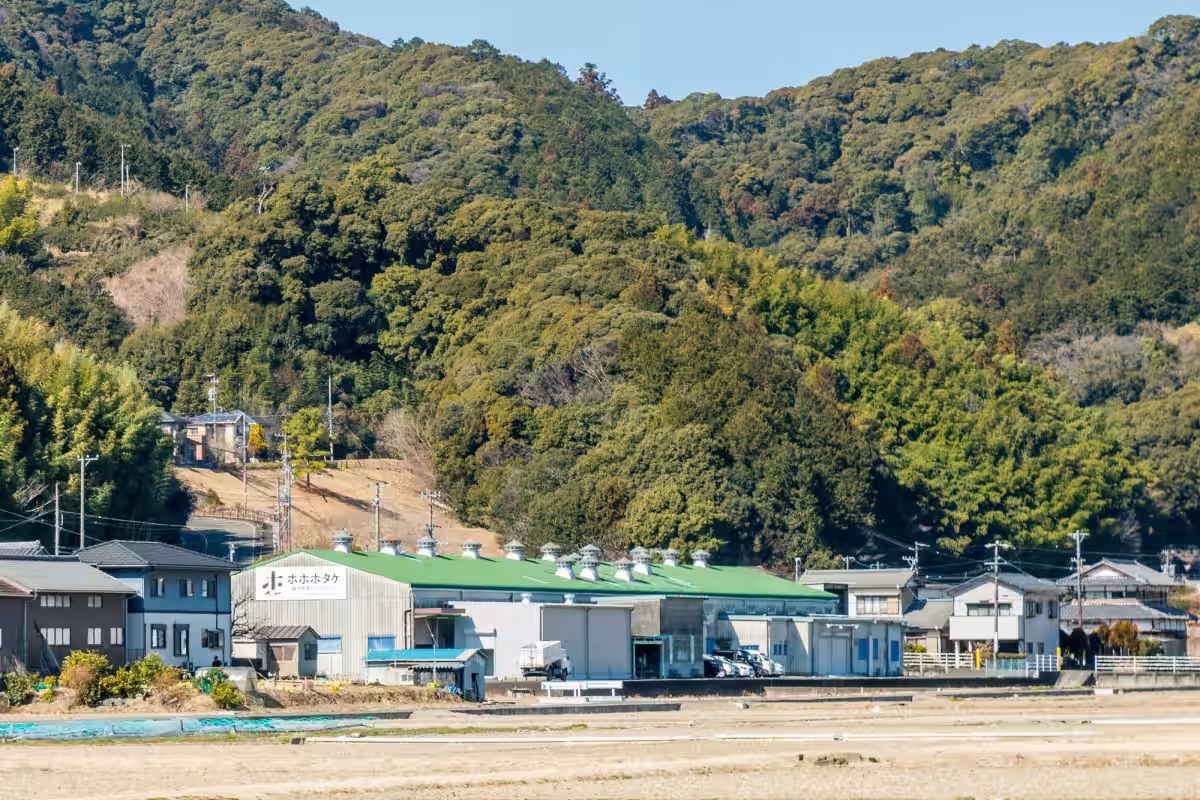 画像12
