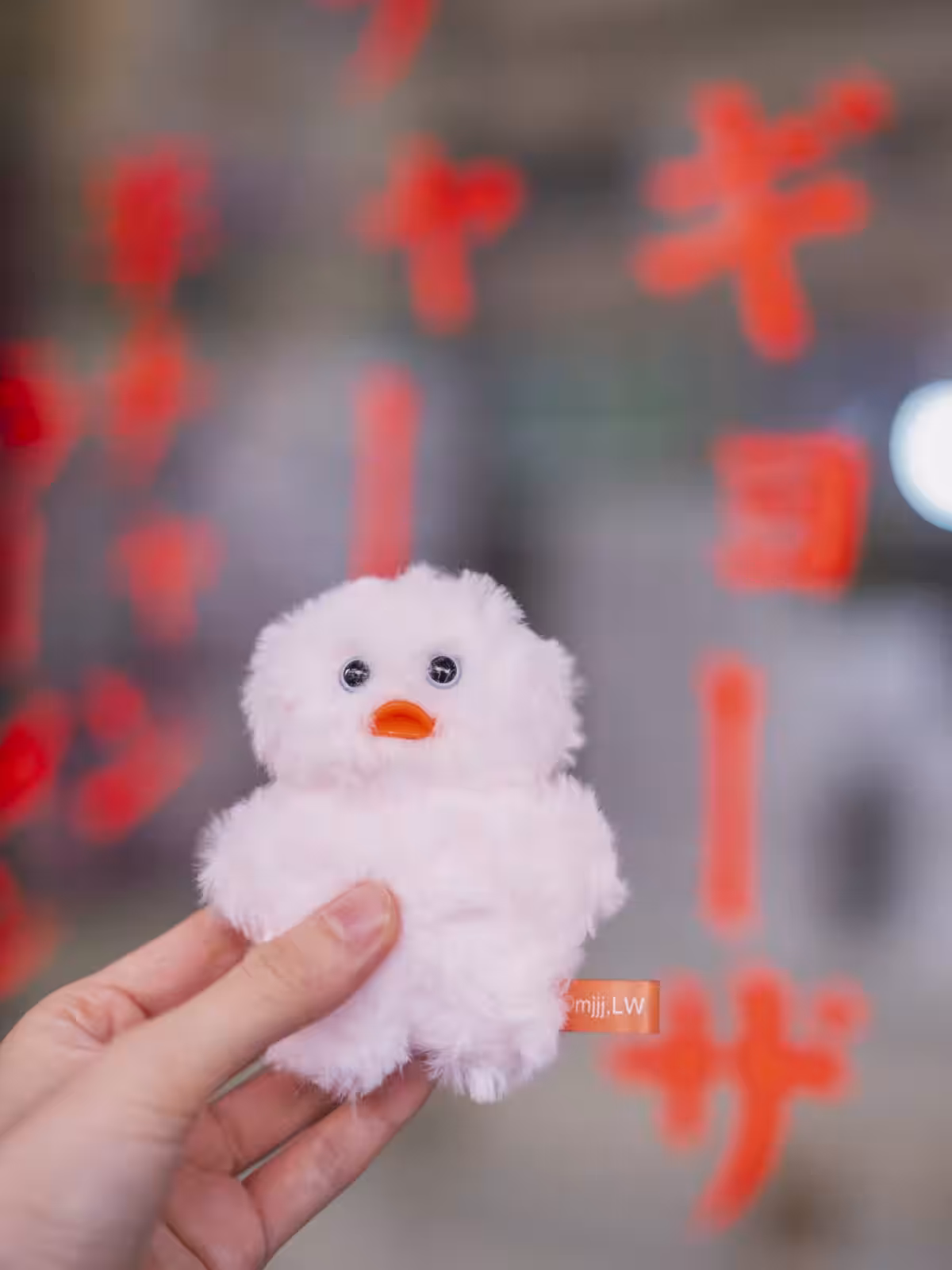画像6