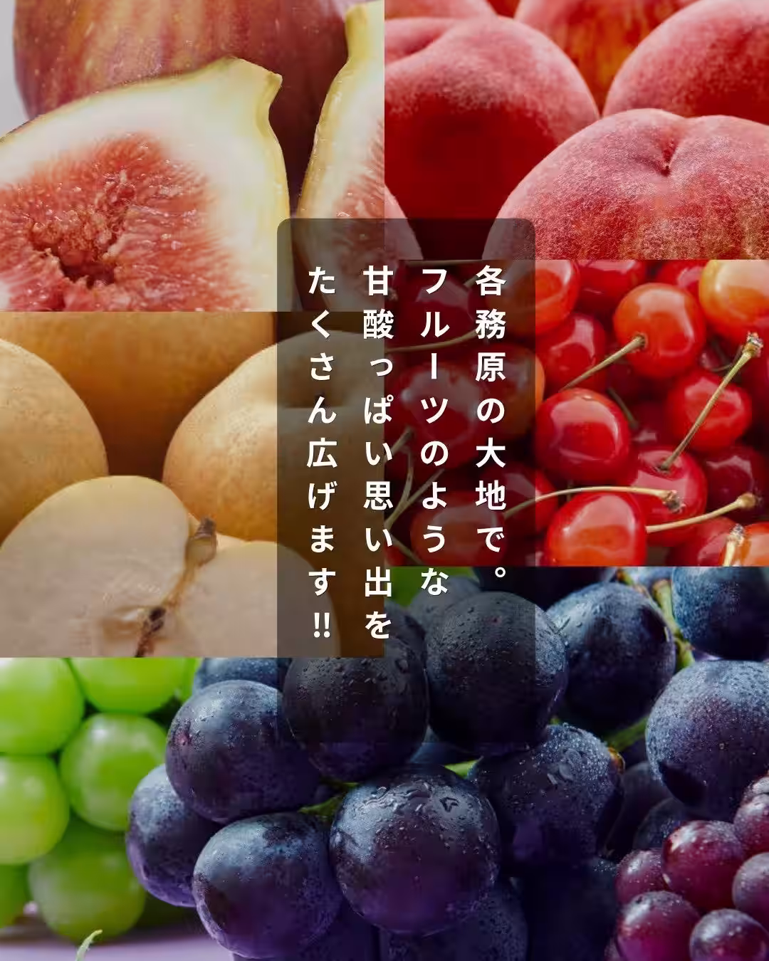 画像15