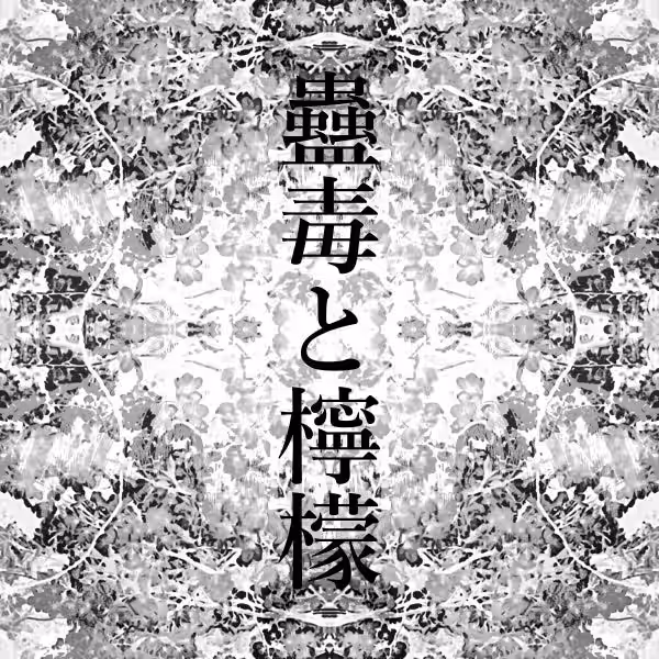画像10