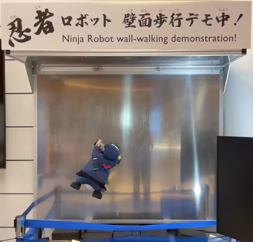 画像12