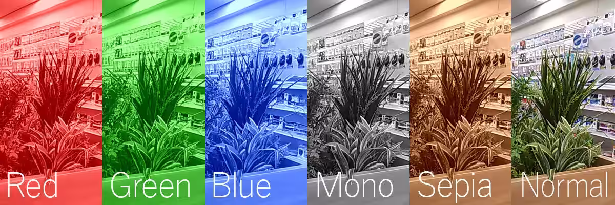 画像6