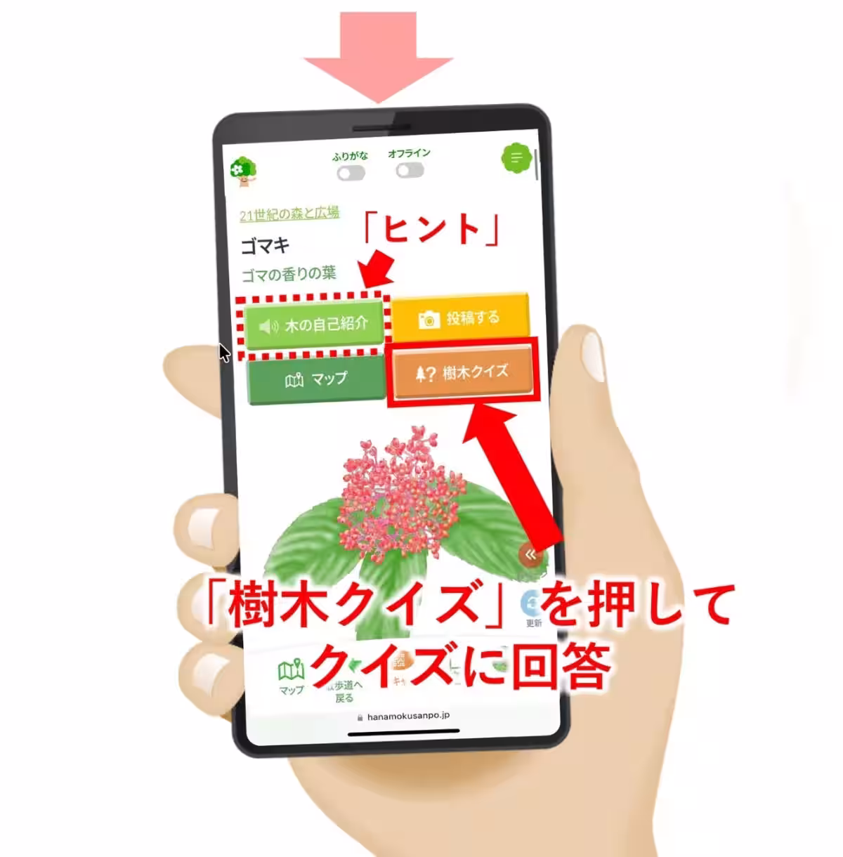 画像4