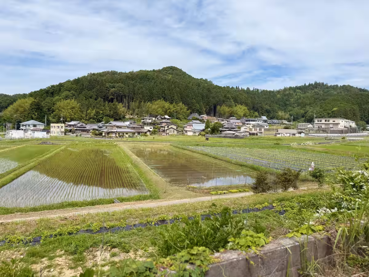 画像6
