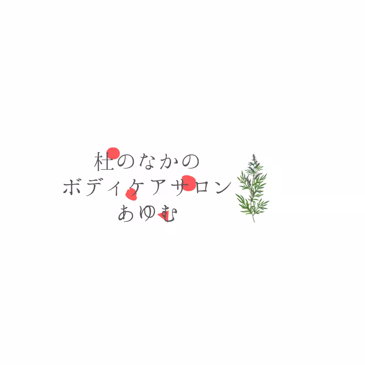 画像17