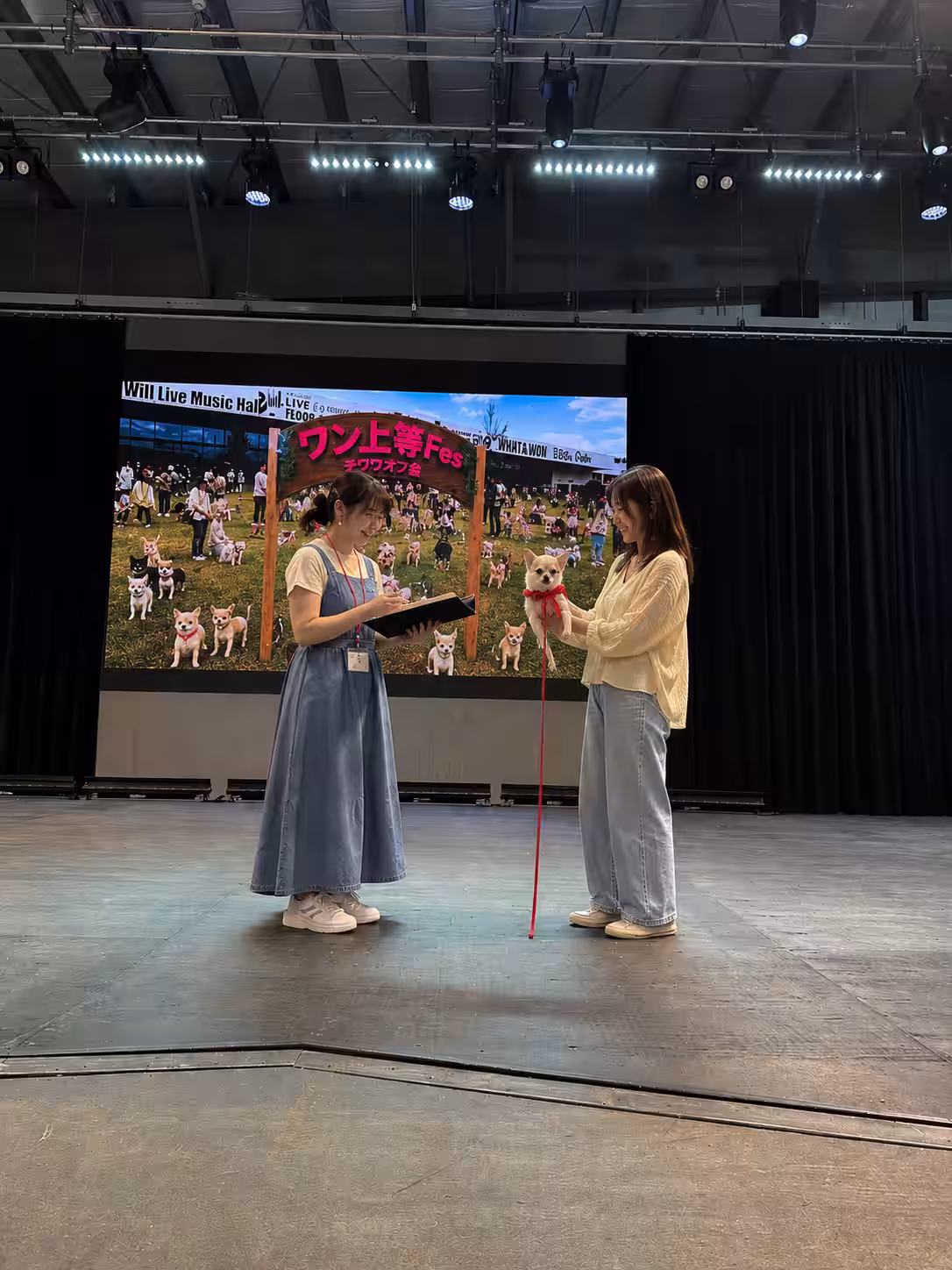 画像7