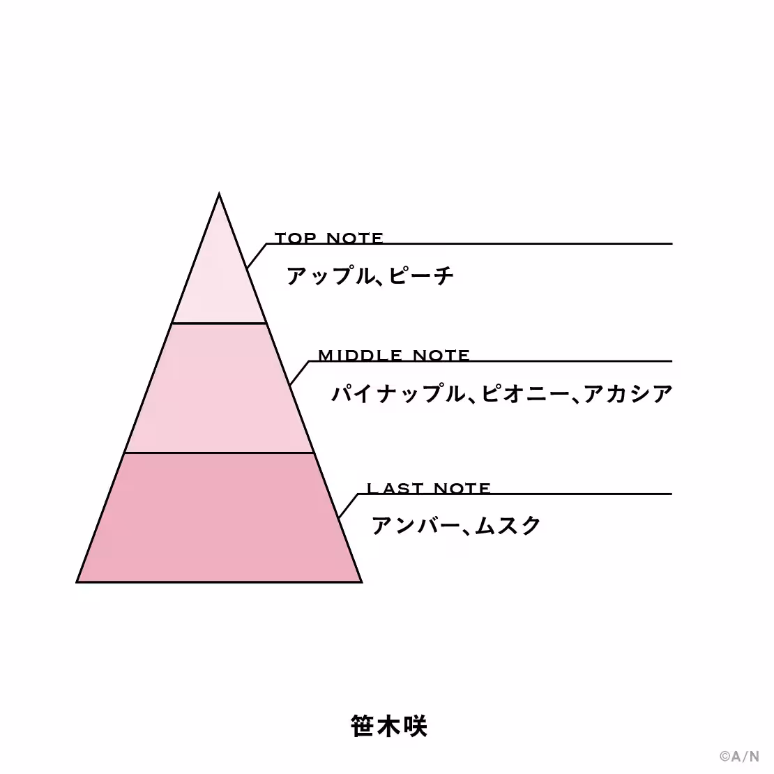 画像12