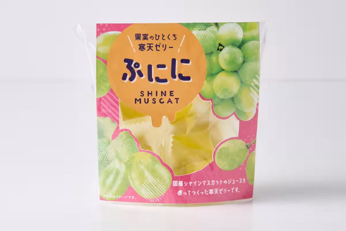 画像9