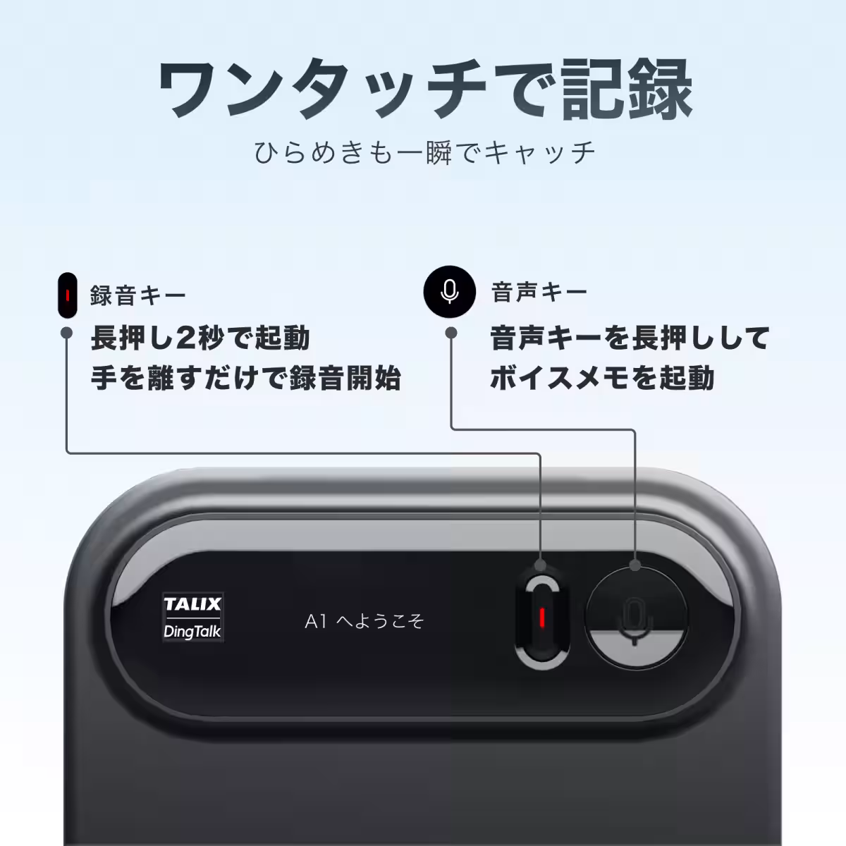 画像18