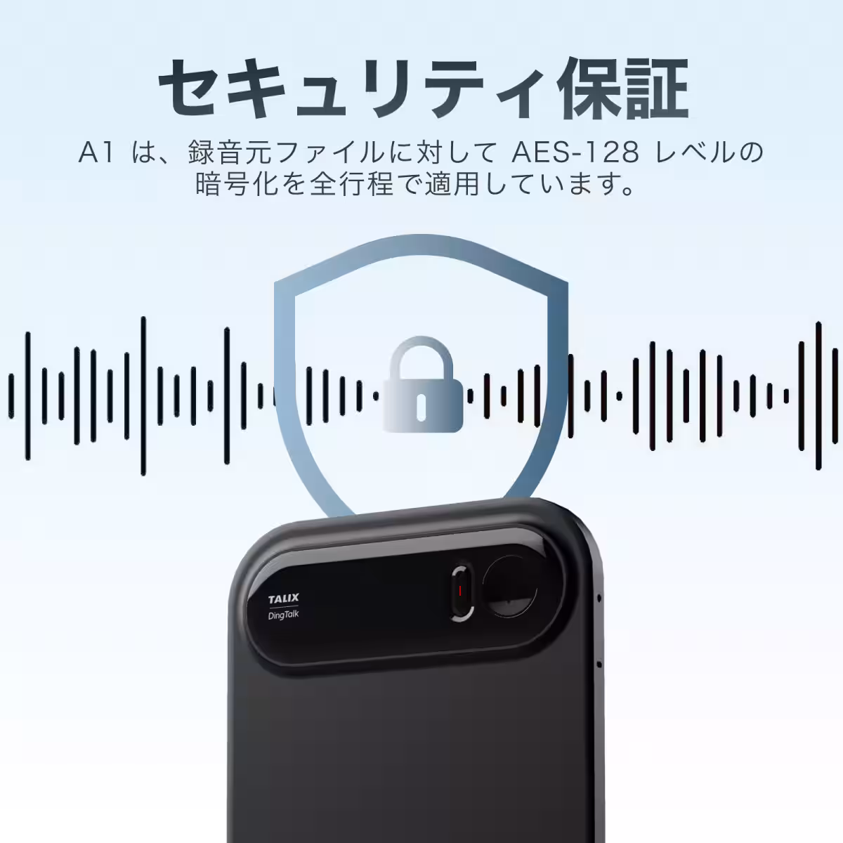 画像19