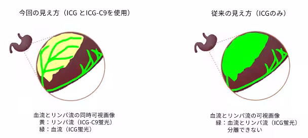 画像4
