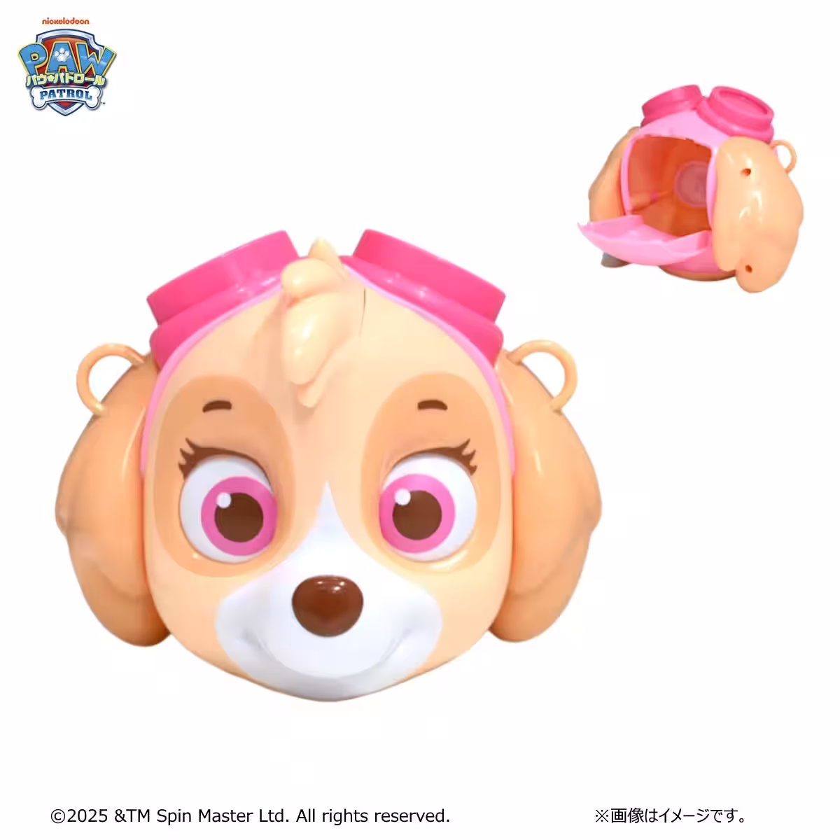 画像7
