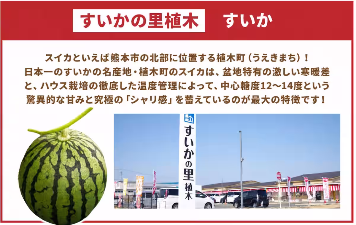 画像11