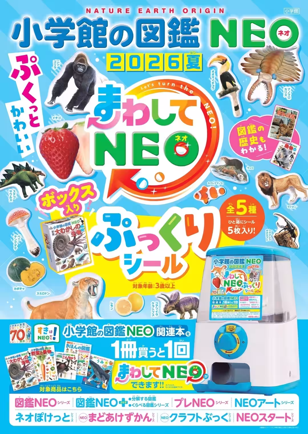 画像9