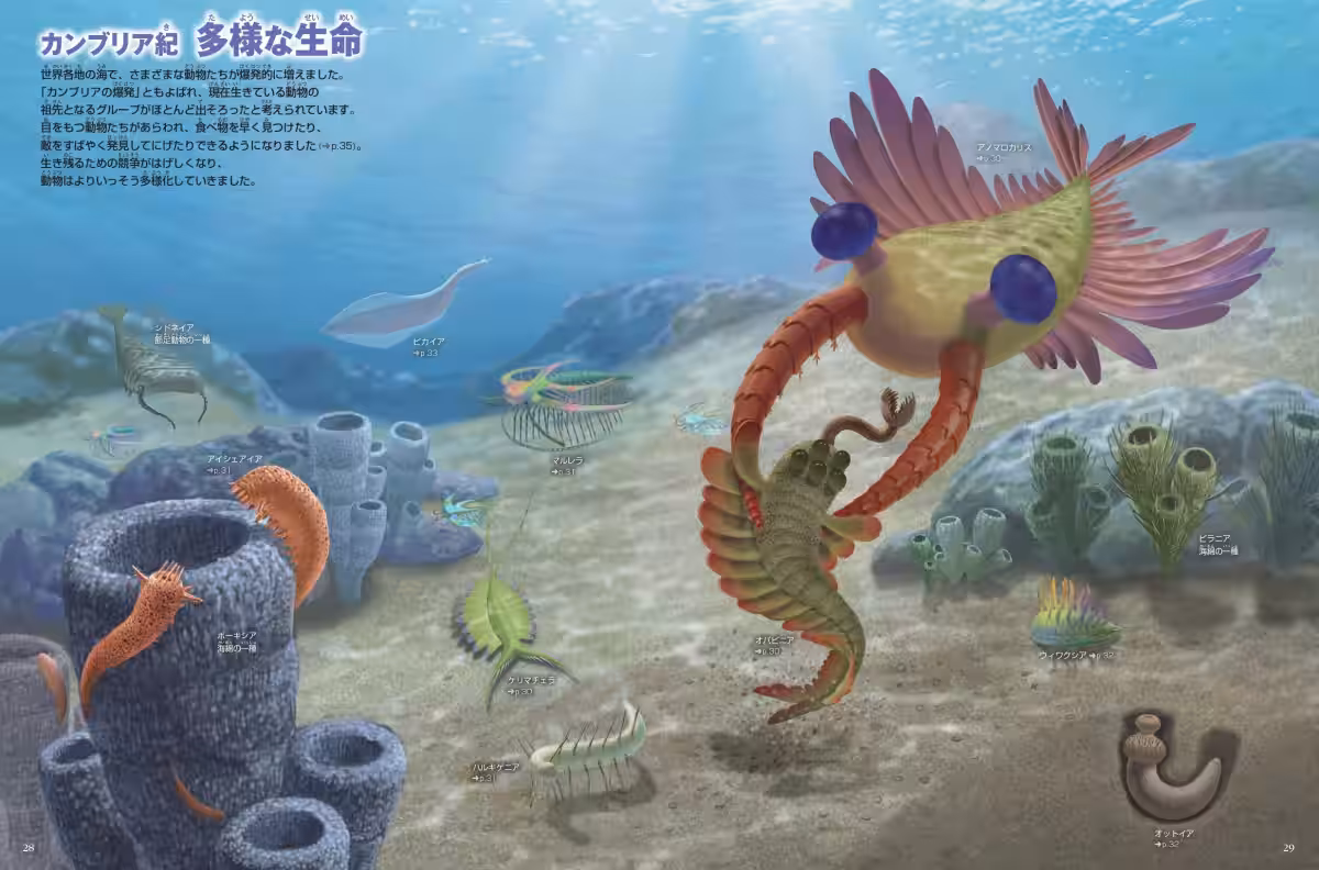 画像4
