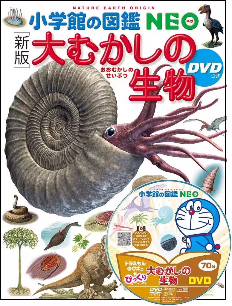 画像3