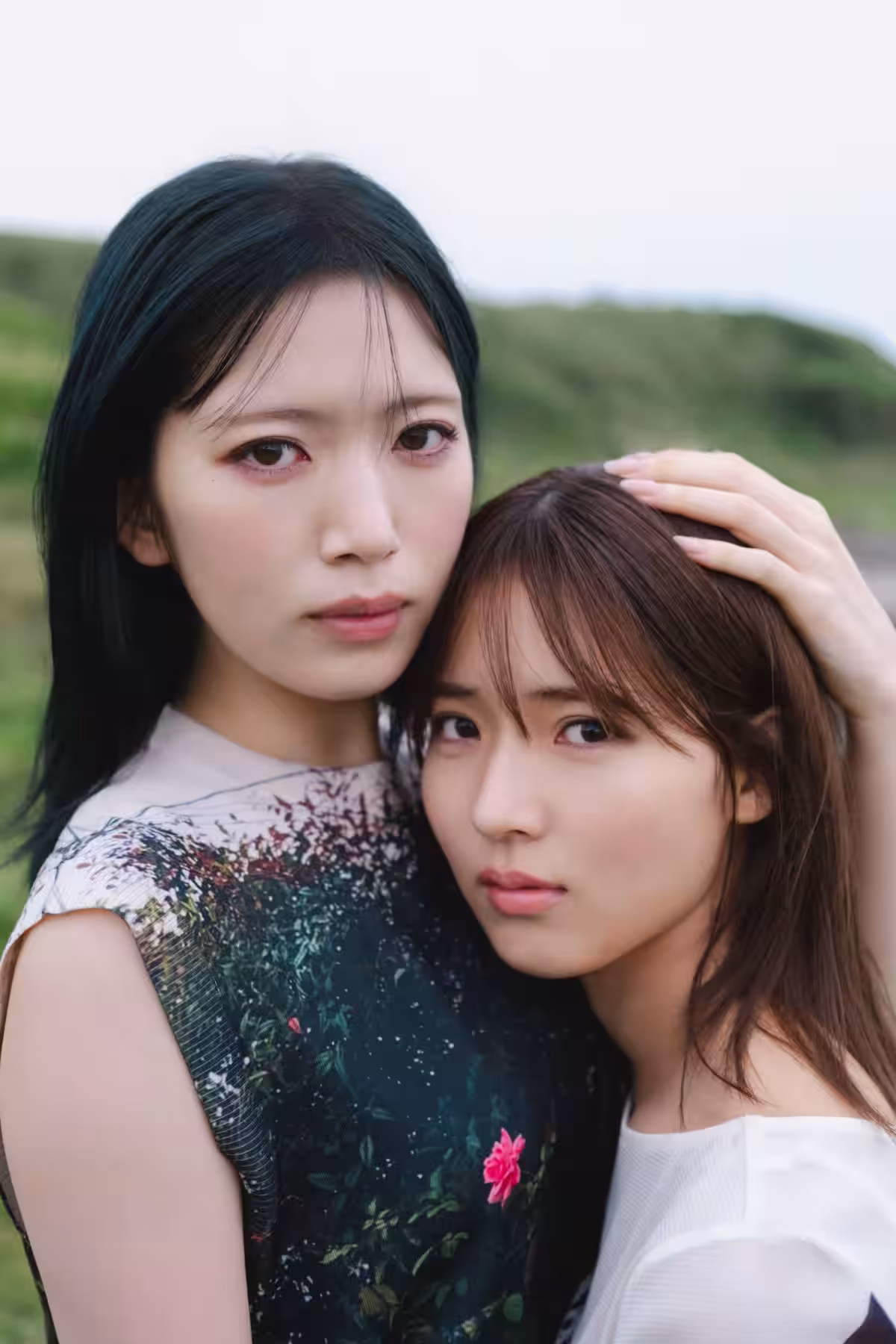画像12