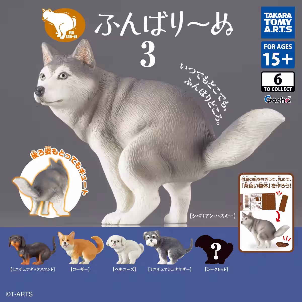 画像4
