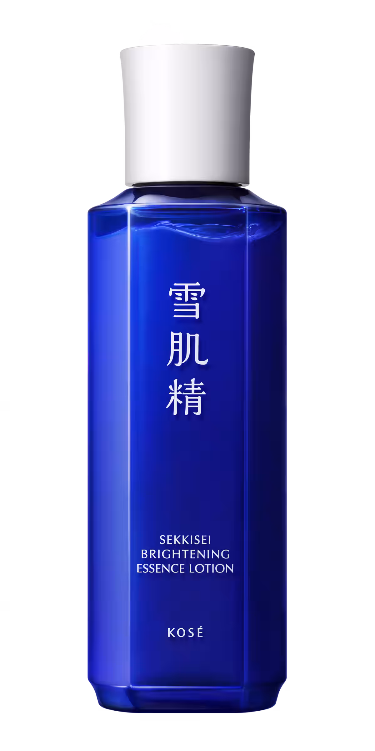 画像15