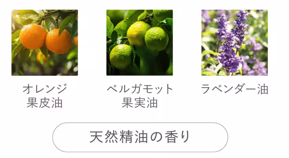 画像11