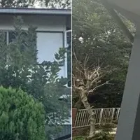 空き家問題解決策