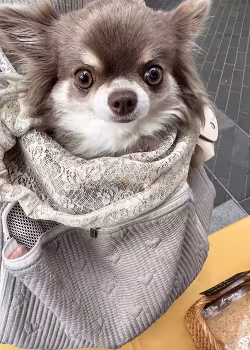 画像7