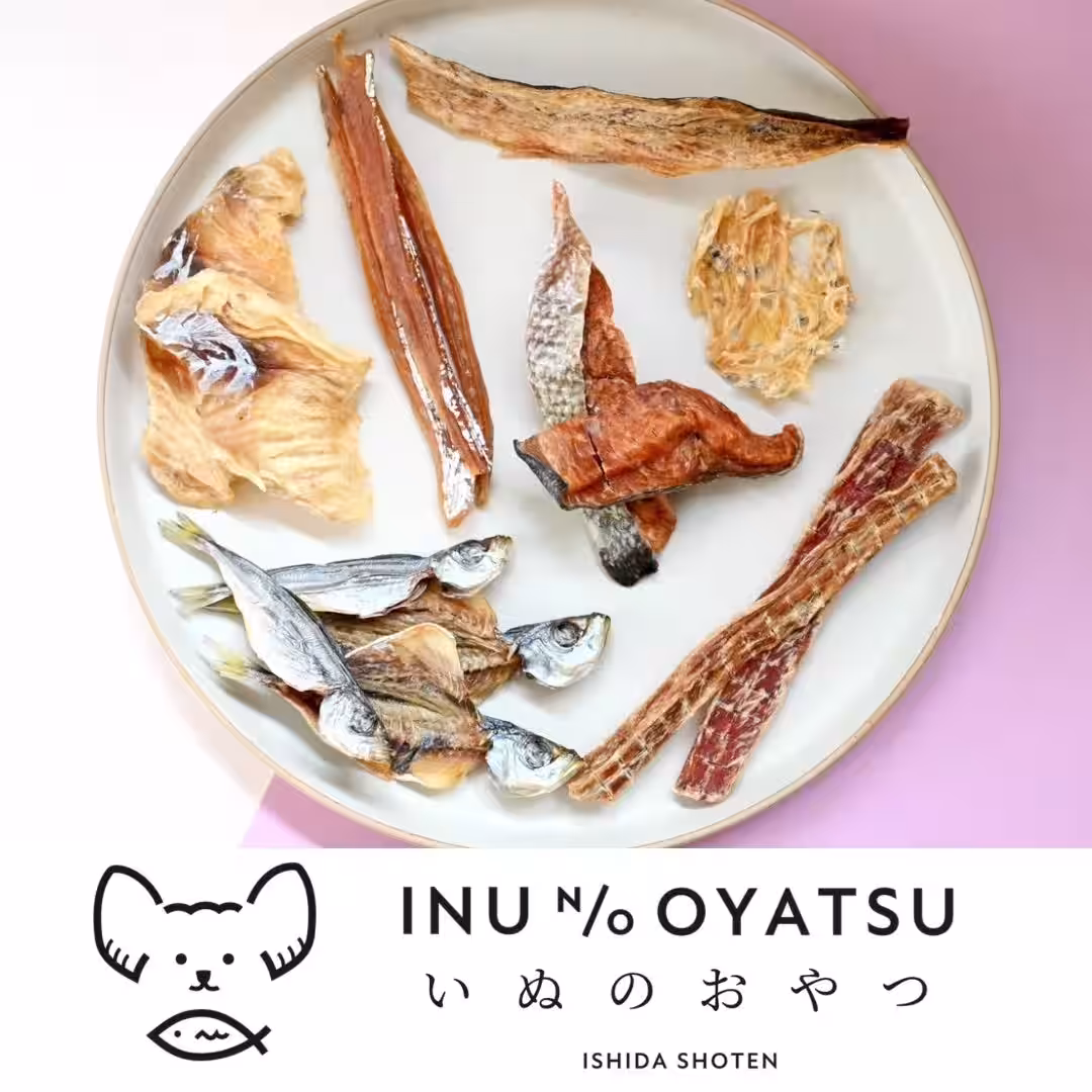 画像12