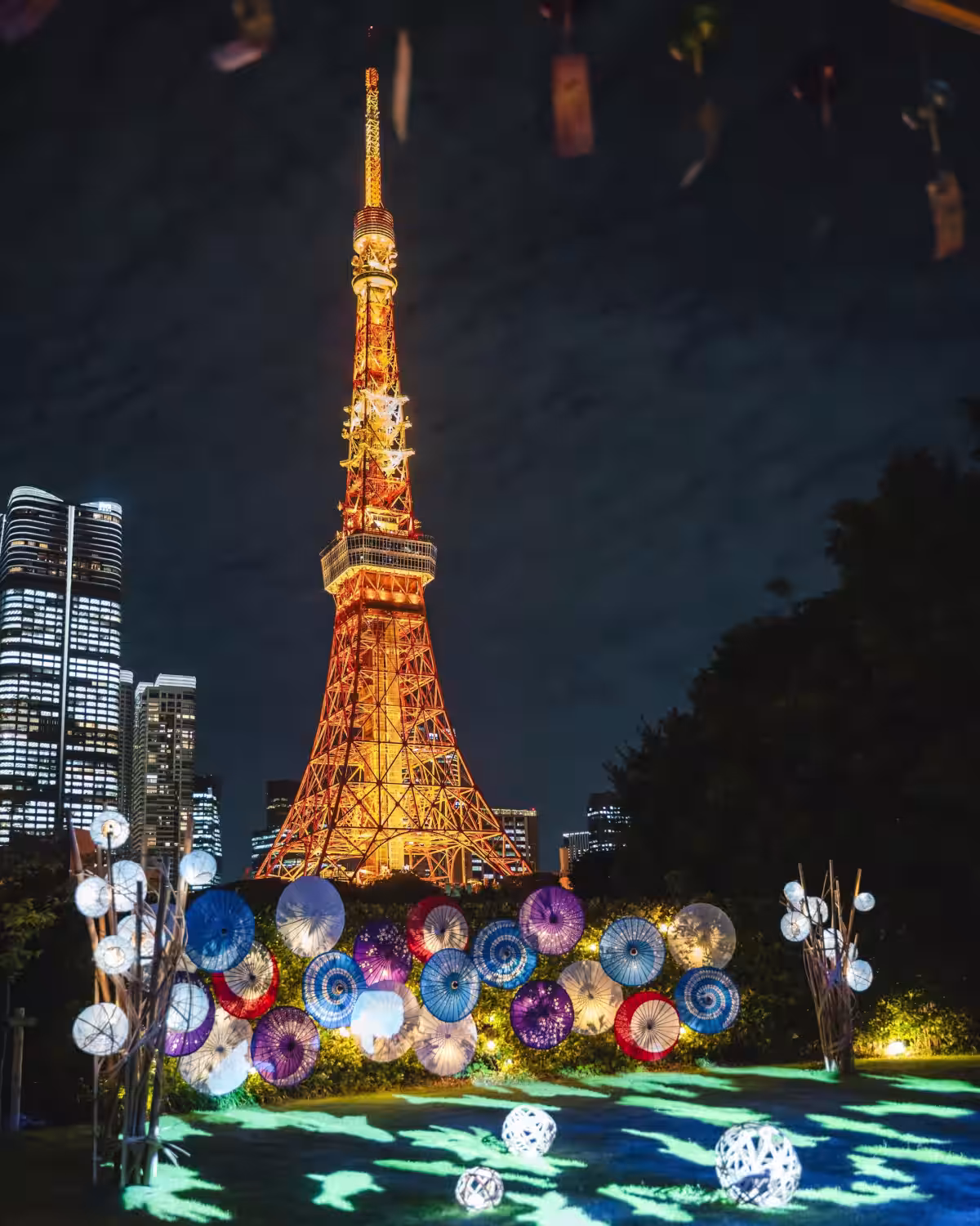 画像7