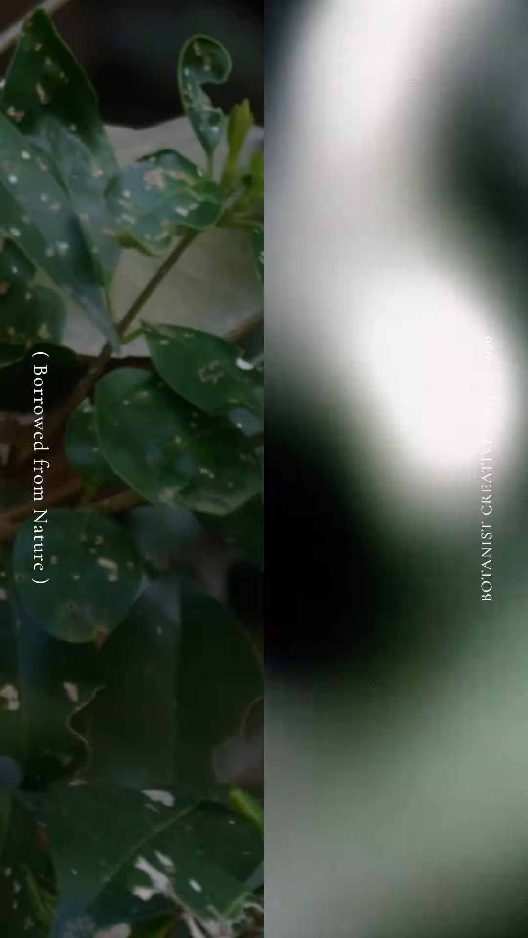画像12