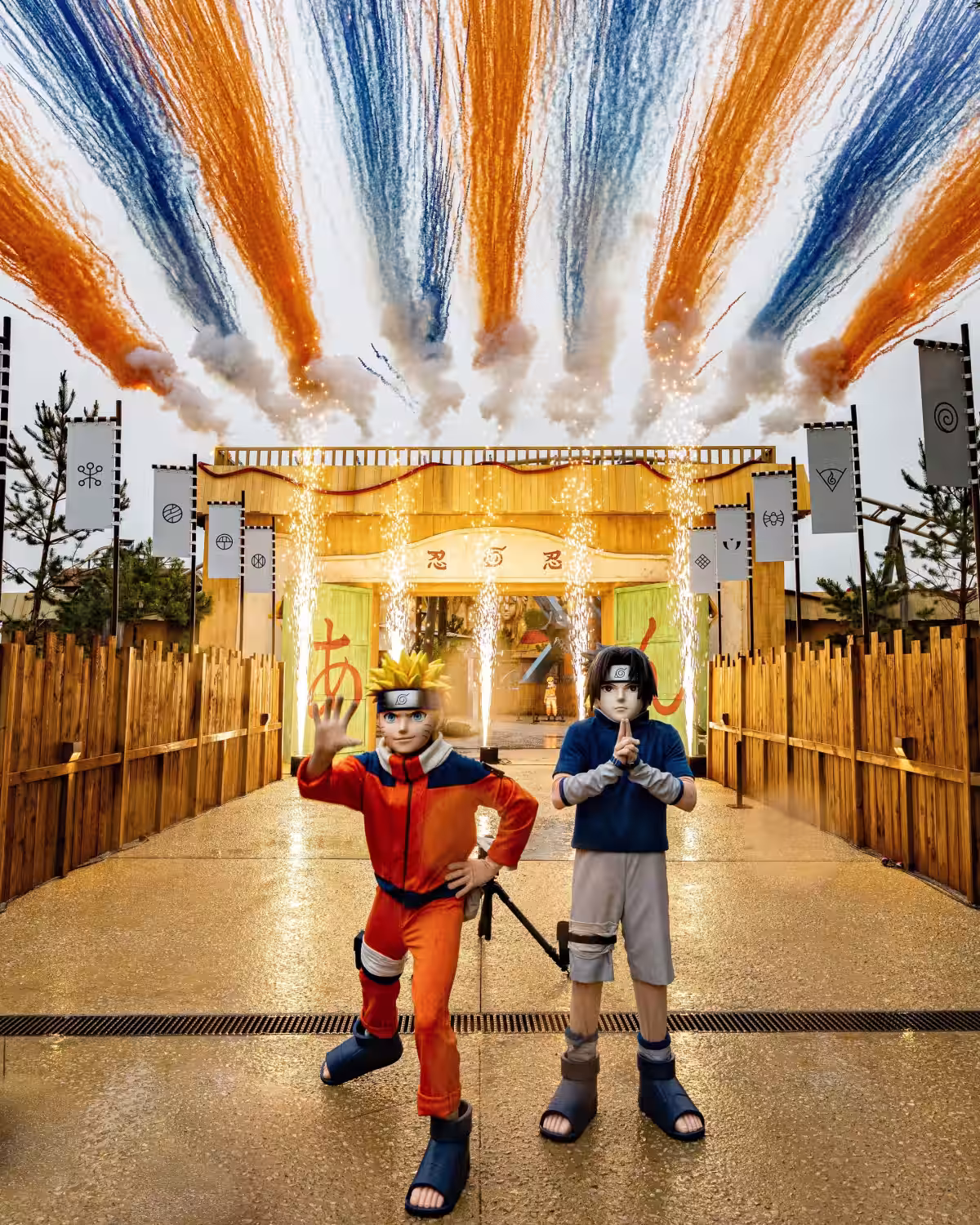 画像15