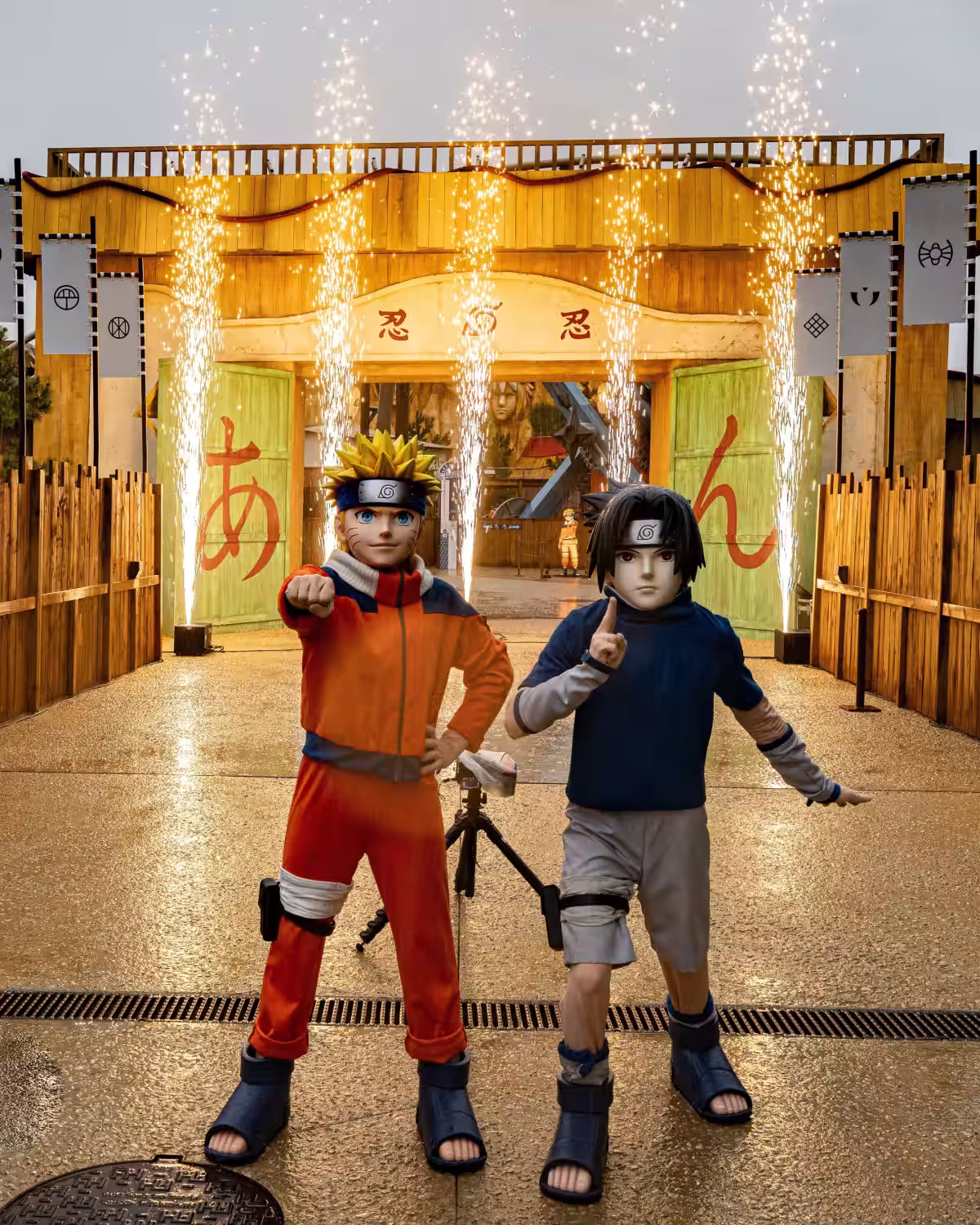 画像14