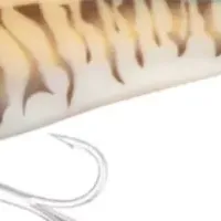 カネカとシマノのコラボ