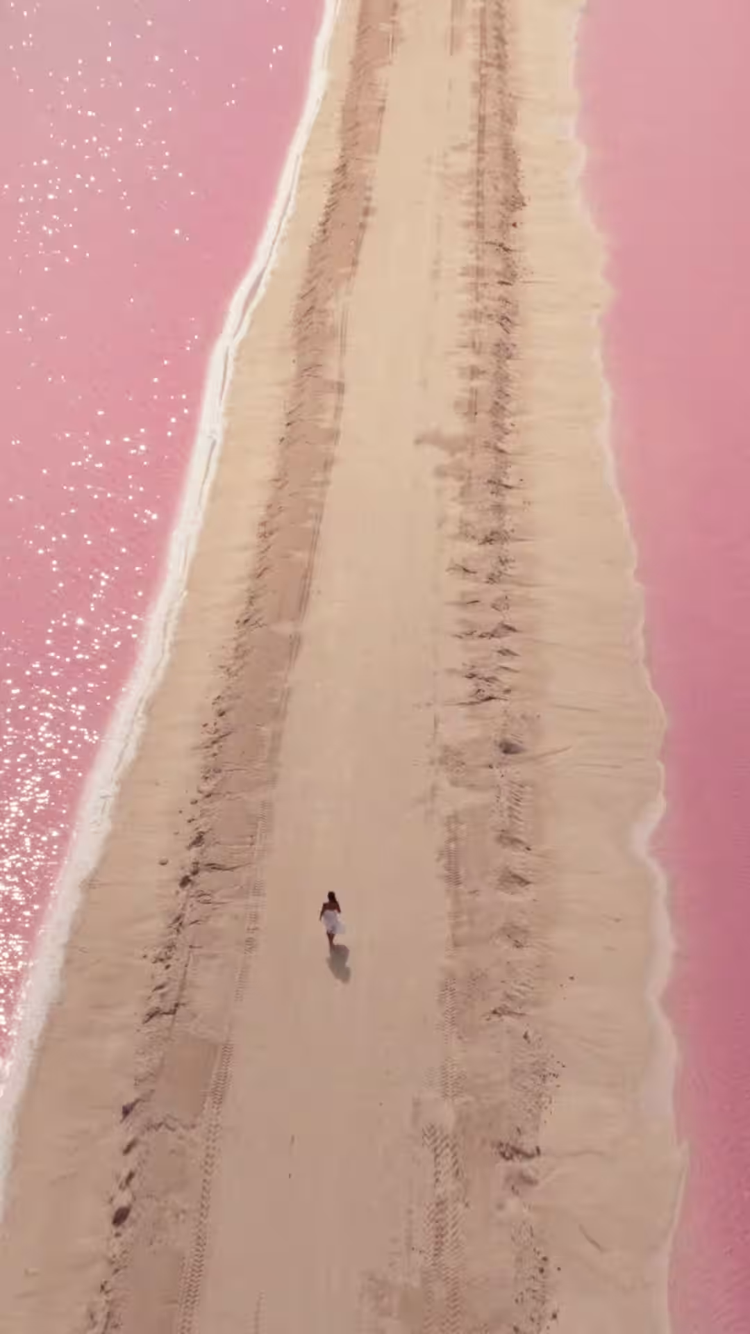 画像18