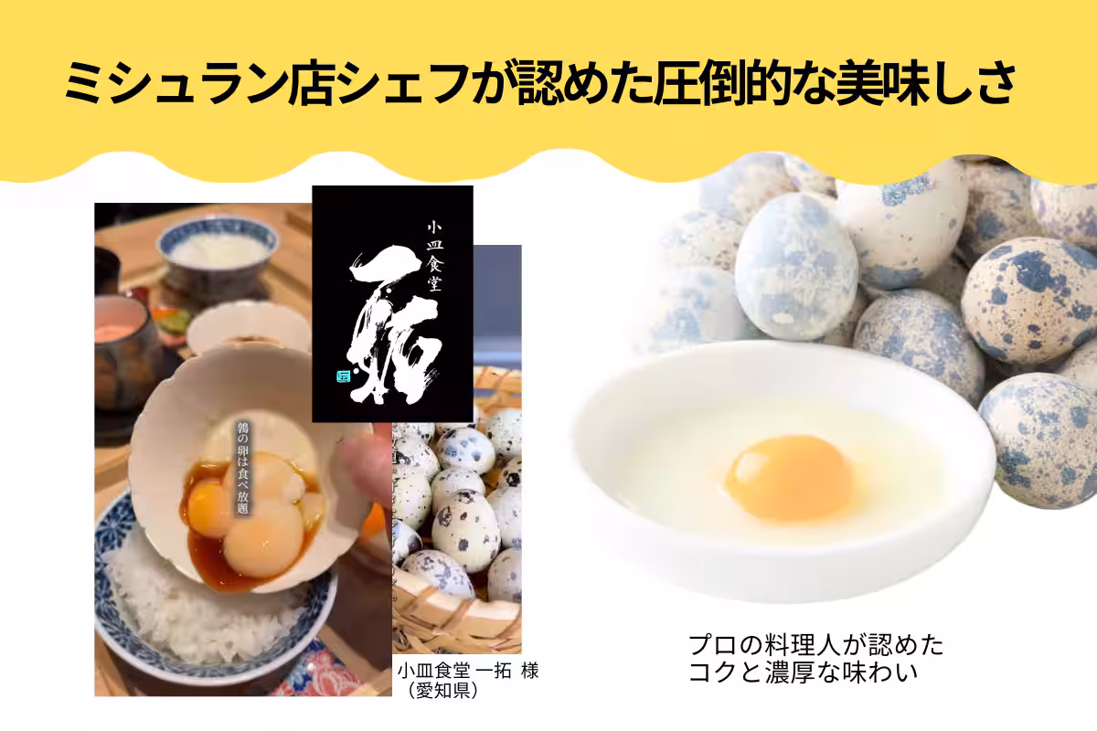 画像13