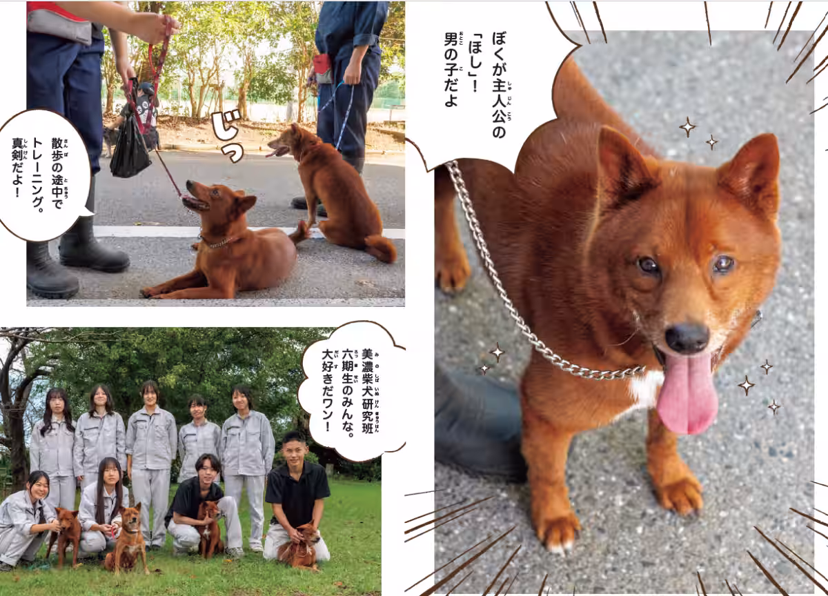 画像3