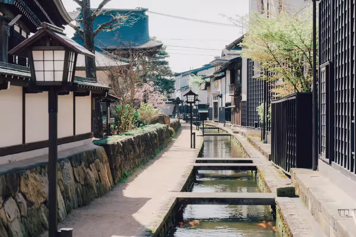 画像9